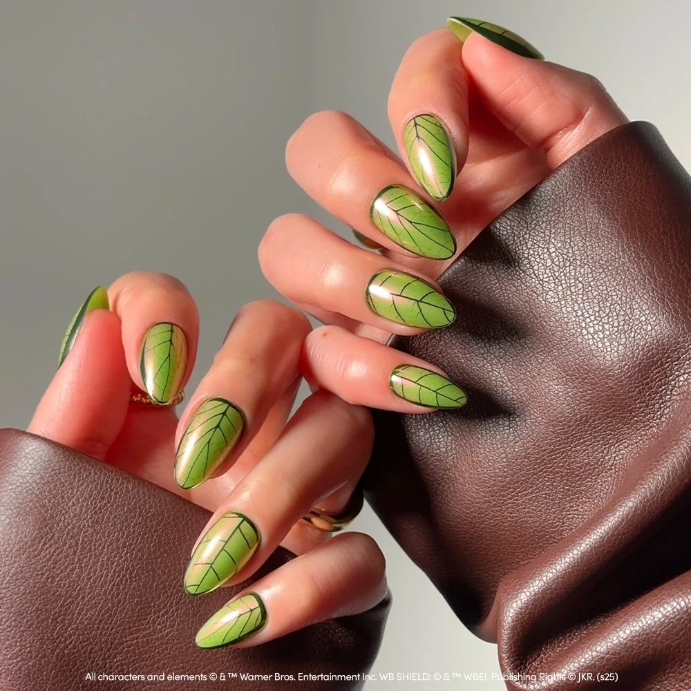 Mandrake - Product image